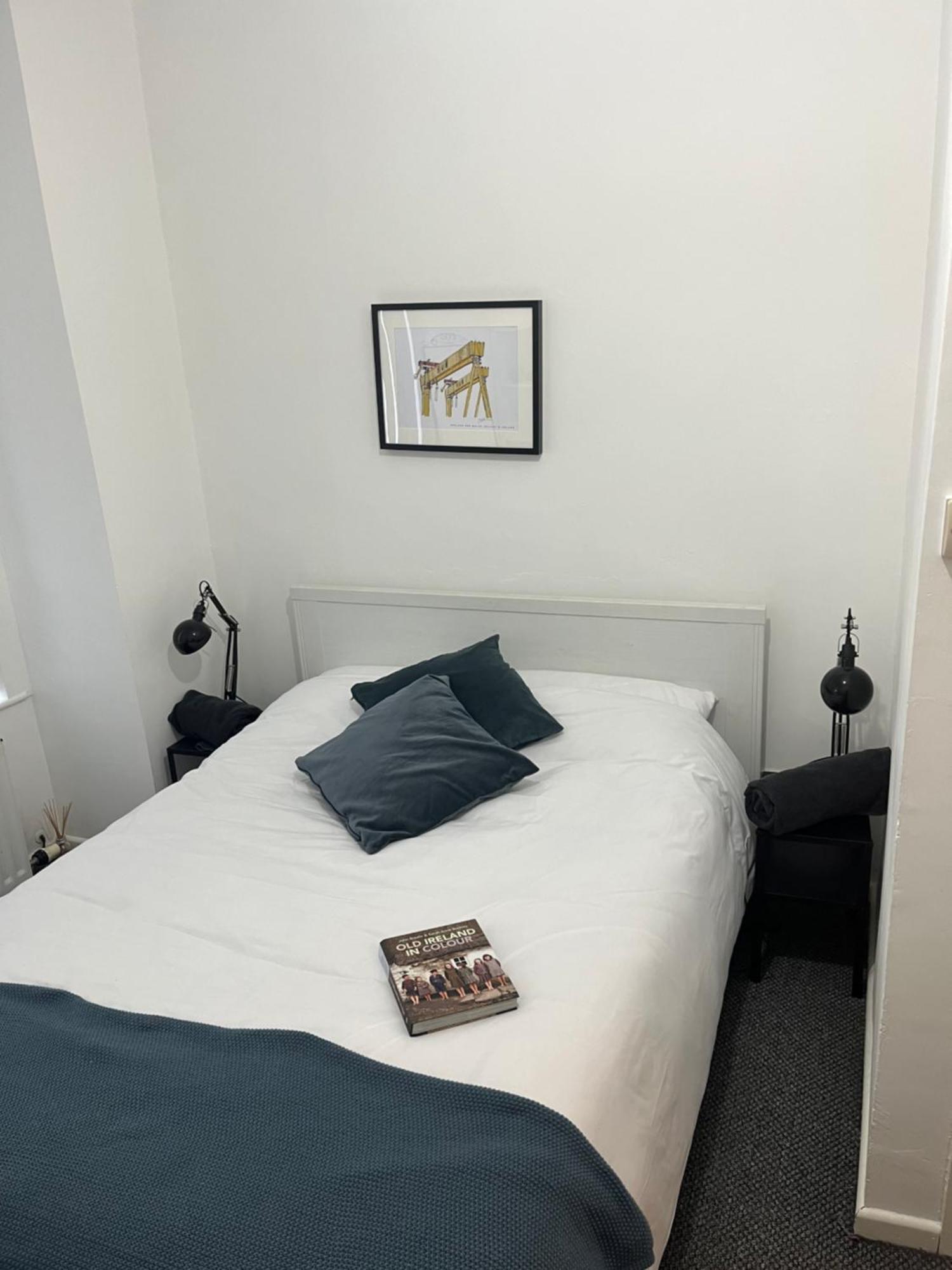 Loganberry Apartment Belfast Eksteriør billede