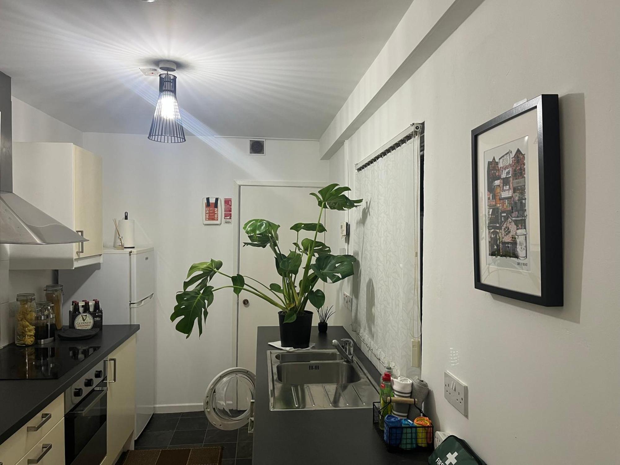 Loganberry Apartment Belfast Eksteriør billede